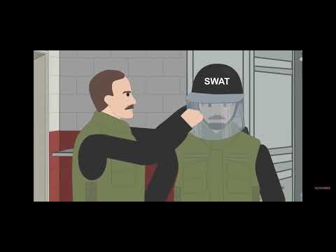 simple history S.W.A.T ( special weapons and tactics)