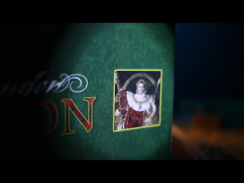 How to Play Field Commander: Napoleon - Enemy Turn 