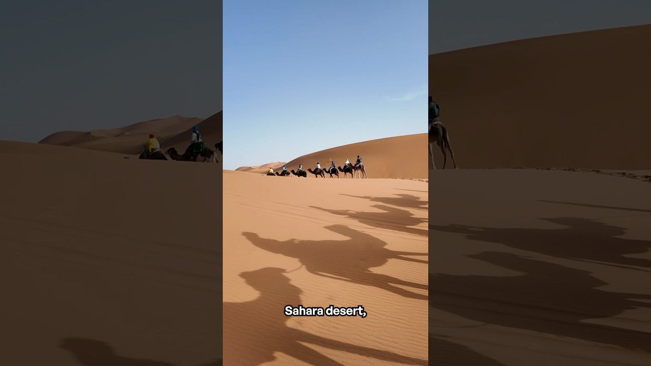 Morocco Adventure Video