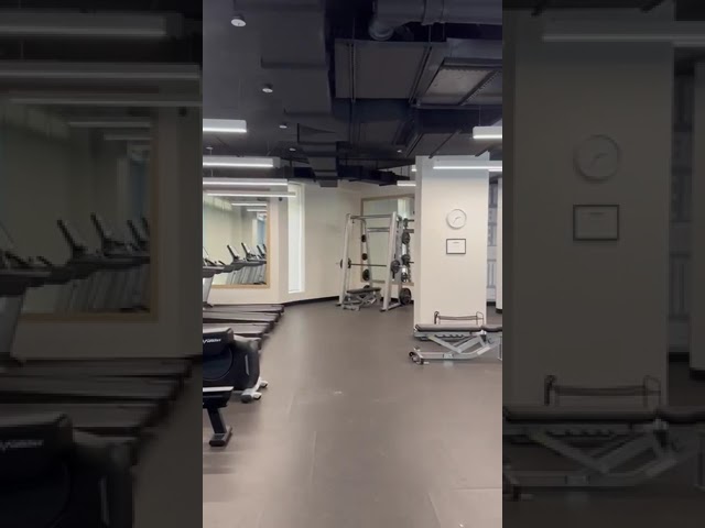 Preview image: Video 9