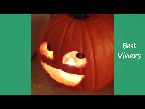 Try Not To Laugh or Grin While Watching Funny Clean Vines #73 - Best Viners 2020