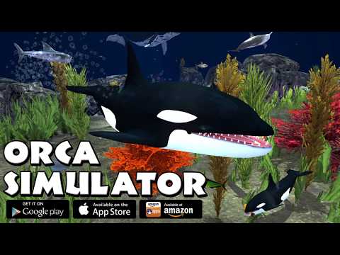 Orca Simulator Video