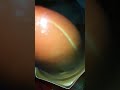 This Viral Propitious Mango Ice Cream Is Delicious