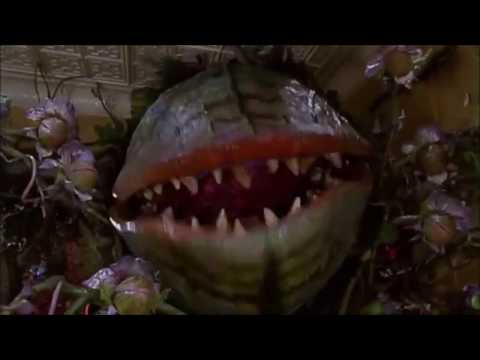 Audrey II - Shiny (Moana)