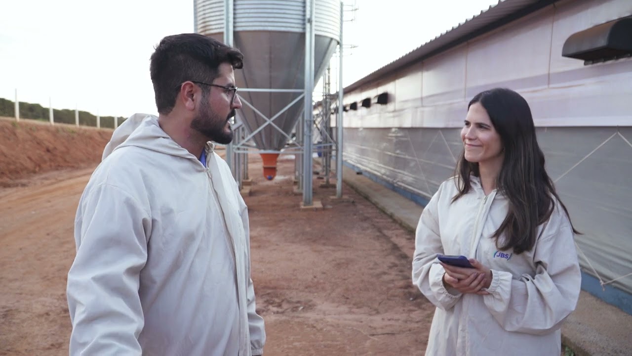 Nutrição e cuidados garantem saúde e desempenho na criação de frangos | Interligados