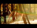Childish Gambino Letter Home