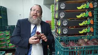כיצד שוטפים ירקות , הדרך הקצרה והבטוחה לשטיפת  ירקות, הרב יוסף דורפמן, Rabbi Yosef Dorffman
