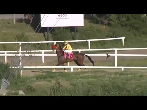 CARRERAS SINT COLONIA 221215 c09 - 1° SI SI PARTNER