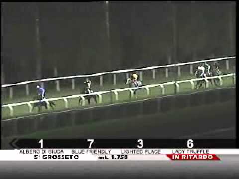 20/07/2011, Grosseto , Premio Showroom Biscottini