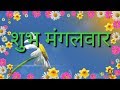 शुभ मंगलवार Good Morning WhatsApp Status Happy Tuesday Wishes With Quotes