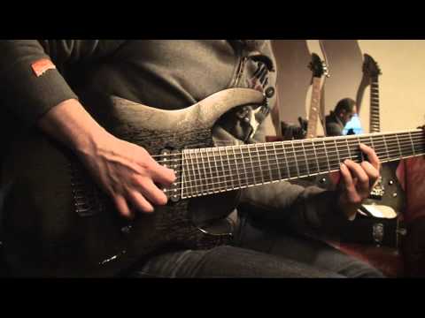 Fred Brum - Taurus Dexter Octaver - Machina