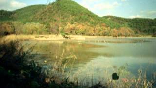 ダンス・オブ・コロナ（Dance of Corona ）  渡辺香津美　Live