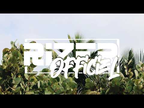 Rizer Officiel _ Reynard Silva _ I need you [Reggae Remix] 2020