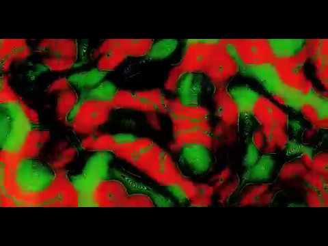 Meson B. Strange music video - Tommy Von