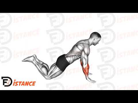 Press des doigts à genoux - Exercice Press des doigts à genoux en vidéo Press des doigts à genoux - Exercice Press des doigts à genoux en vidéo