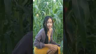 Download lagu KETEMU CEWEK CANTIK DI SAWAH mp3