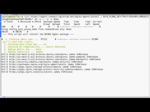 NGINX One Demo: Sync and Manage NGINX Configurations Across Instances with Config Sync Groups