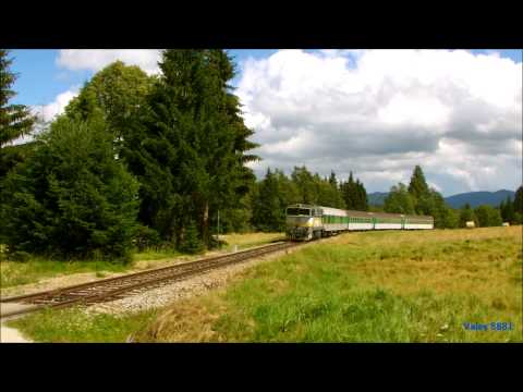 Brejlovci na Šumavě  2015