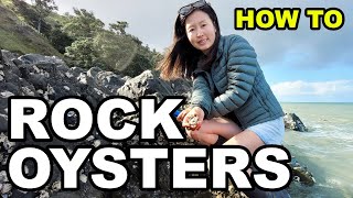 How To Collect, Shuck and Eat WILD OYSTERS