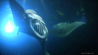 Big Island Activities 2 0001