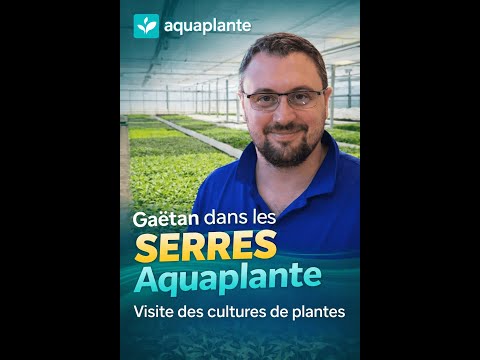 Visite des serres Aquaplante