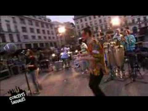 Bensé au Concert sauvage de Devendra Banhart