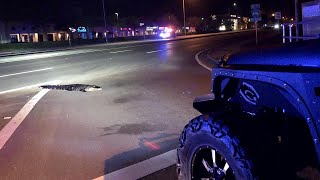 Sleepwalking Alligator Forces Police Stop Traffic in the Middle of the Night
