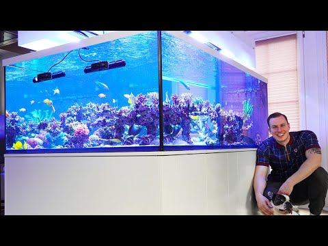 GERMAN REEF TANKS - New 2250 liter aquarium - Michael's XXL project * SPS AQUASCAPE *
