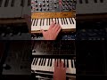 Scritti Politti Absolute b-side remake. #analog #moogmodeld #arpodyssey #oberheimobx