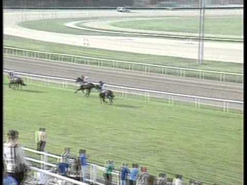 1st Beau Dreamer, 2nd Opium Bullet - Epsomi Díj