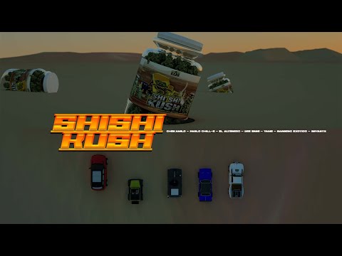 Miniatura de Shishi Kush