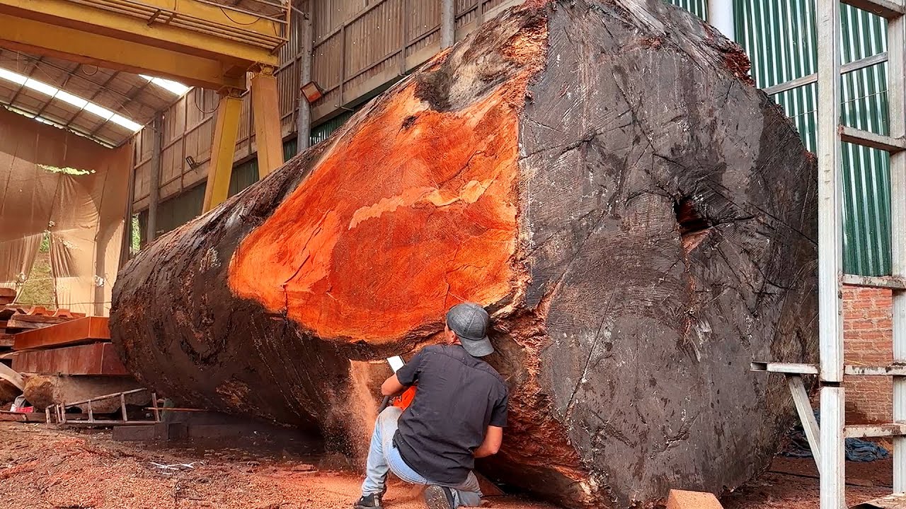 Wood Cutting Skills // 3200 Year Old Giant Tree