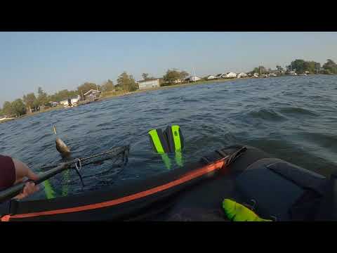 Surprise under aborre fiskeri!