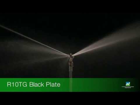 R10TG Black plate