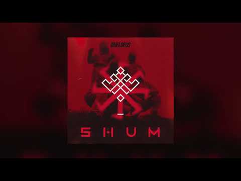 Go_A - Shum (Heldeus Remix)