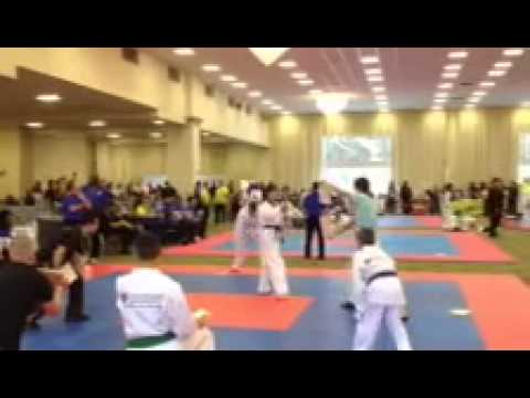 Black Belt Board Breaking FL States 2013