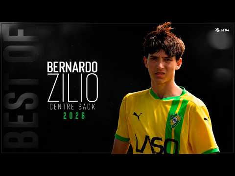 BERNARDO ZILIO — Highlights & Skills