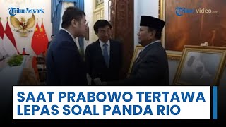 Momen Presiden Prabowo Tertawa Lepas saat Bayi Panda 