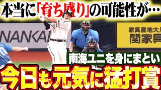 【ガチで育ち盛り】柳田悠岐『南海ユニを身にまとい躍動!! 今日も元気に3安打猛打賞の活躍!!』