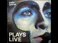 Peter Gabriel - Solsbury Hill (Plays Live)