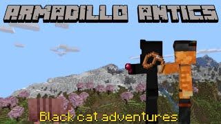 Minecraft Survival Series| Episode 8 armadillo antics|Black Cat Adventures