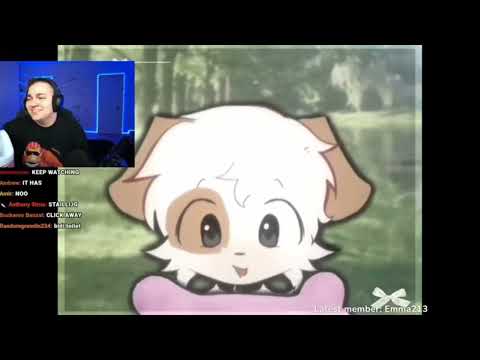 Suger Steak dog got killed by bella, the wolf 💀 (steak live stream clips)