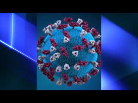 Rockland Measles Exposure