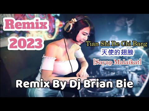 Tian Shi De Chi Bang ~ 天使的翅膀 (Sayap Malaikat) Electro Remix Manyao By Dj Brian Bie