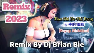 Download lagu Tian Shi De Chi Bang ~ 天使的翅膀 (Sayap Malaikat) Electro Remix Manyao By Dj Brian Bie mp3