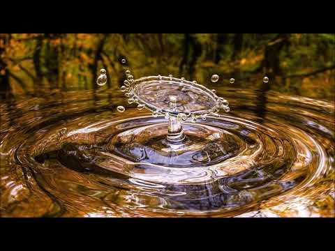 Sam Ragga Band Ft. Jan Delay - Die Welt steht still