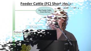 Futures, Options and Cattle Price Insurance