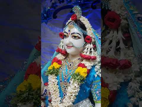 Deity darshan 17th jan 2023 iskcon chennai
