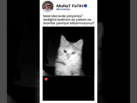 Kameraya Bakıp Ağlayan Kedi Kalbimizi Bıraktık! 😭🐱