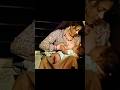 Ram Teri Ganga Maili Ho Gyi Old Song Hindi Hit Song Mandakini Song ️